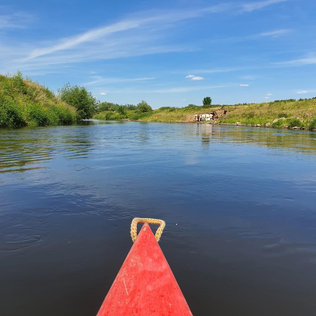 Kanu-Perspektive - Blick nach vorne
